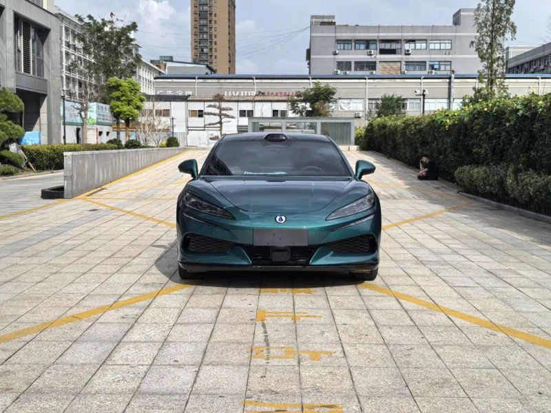 Denza z9