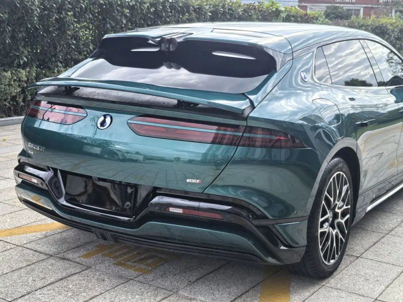 Denza z9