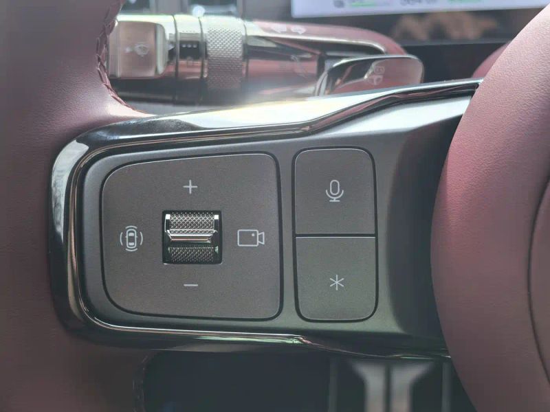 Denza z9
