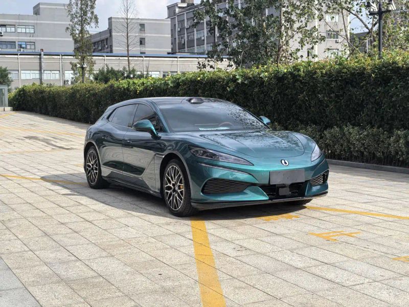 Denza z9