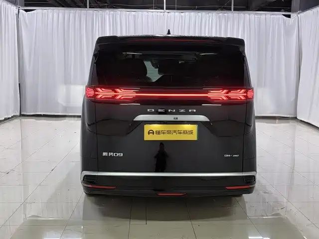 Denza d9