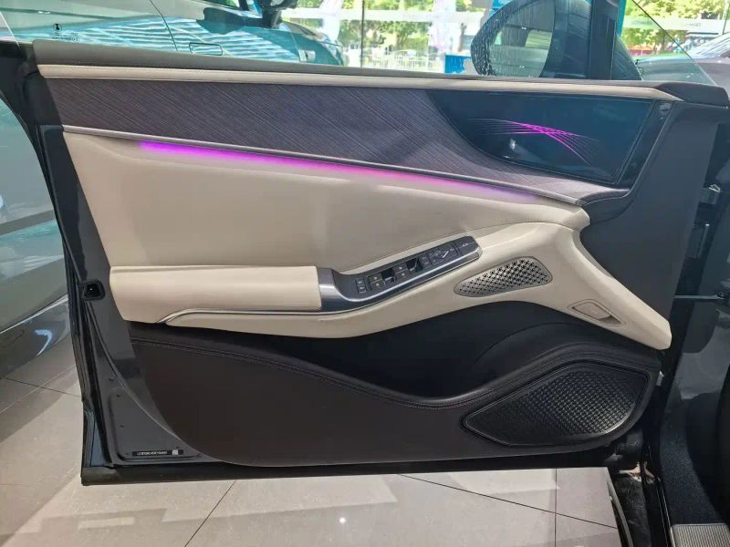 Denza z9