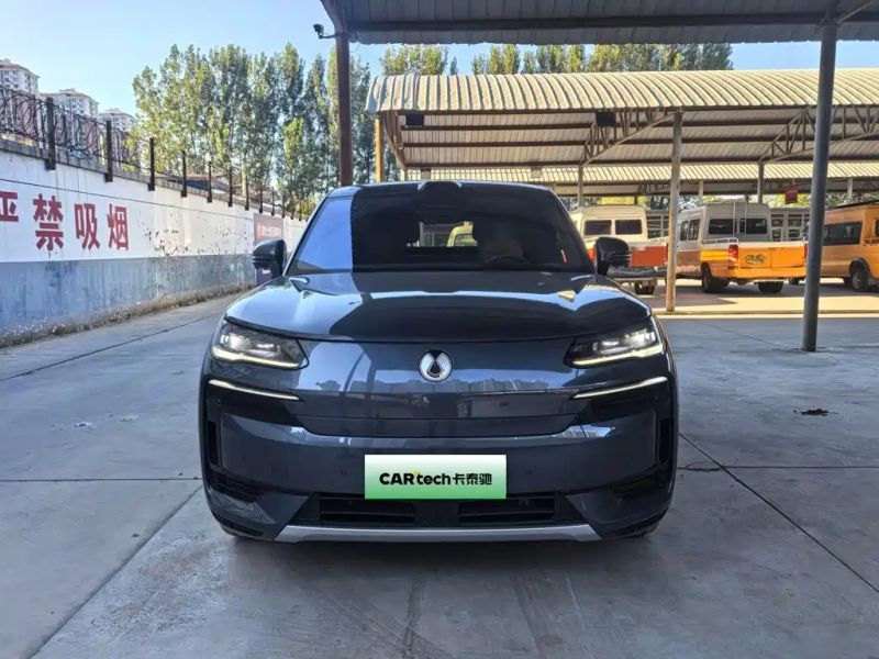 Denza n9