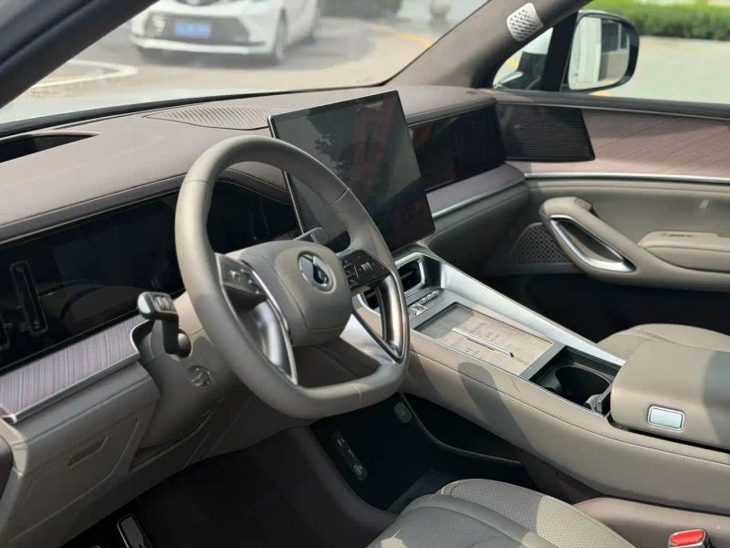 Denza n9