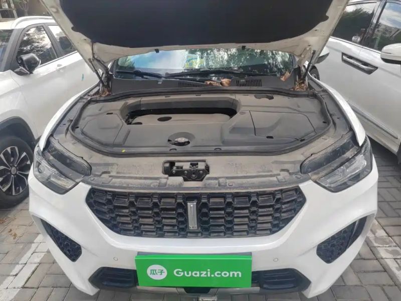 Wey vv5
