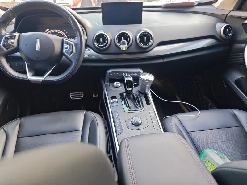 Wey weyauto_p8