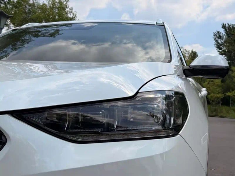 Wey vv6
