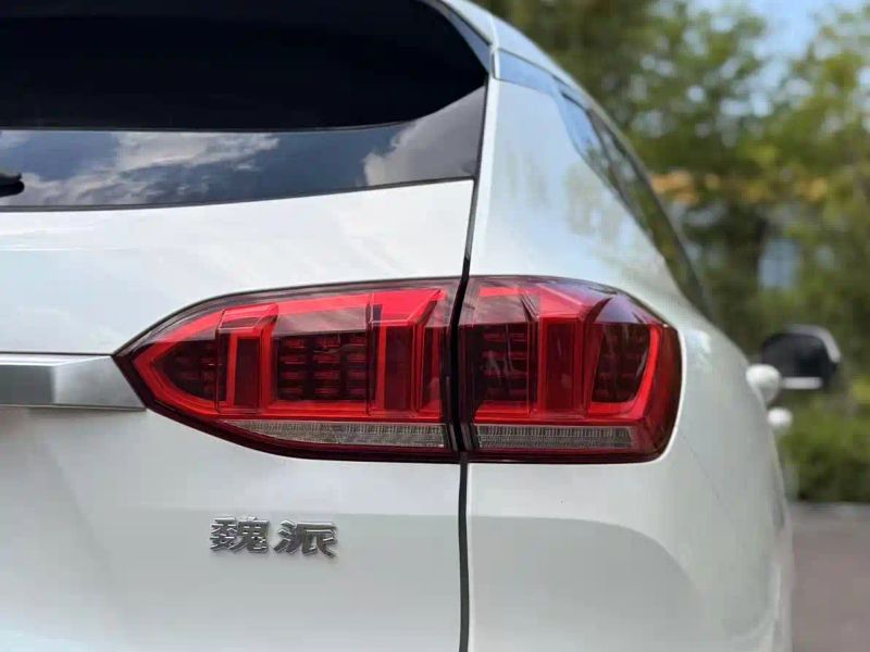 Wey vv6