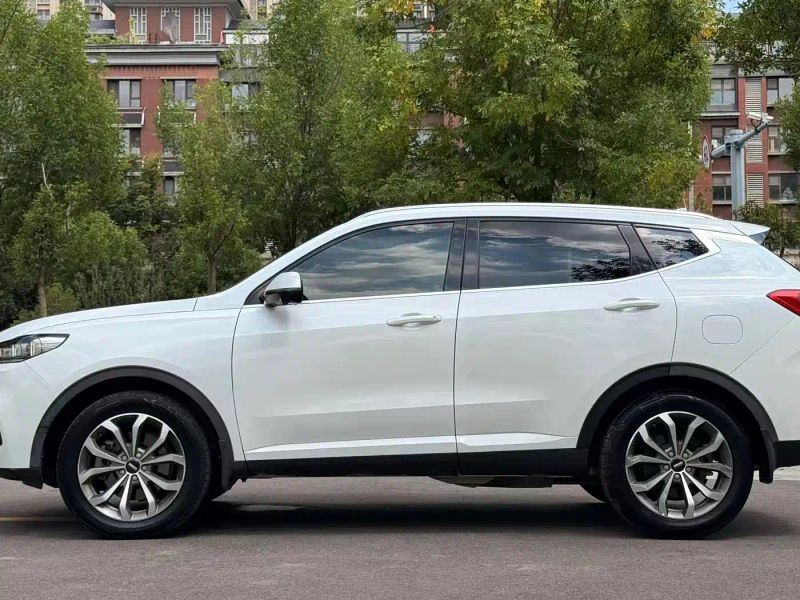 Wey vv6