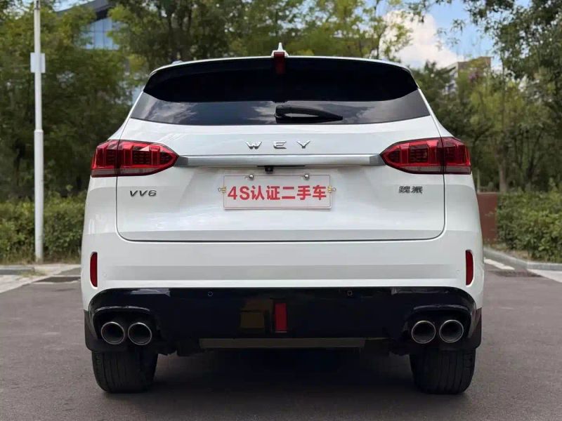 Wey vv6