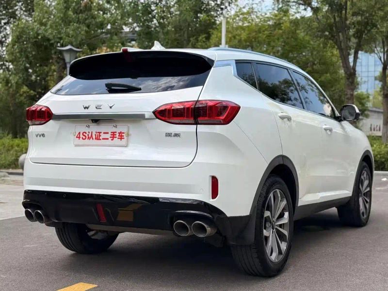Wey vv6