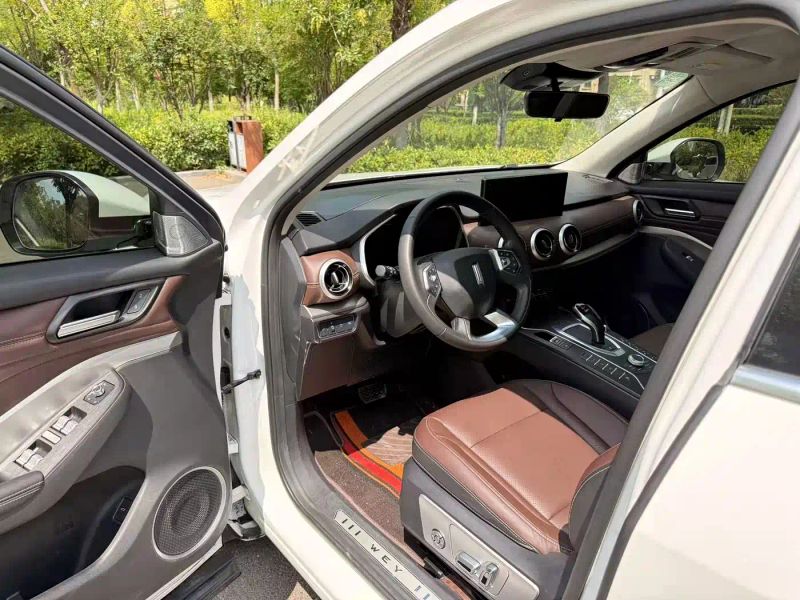 Wey vv6