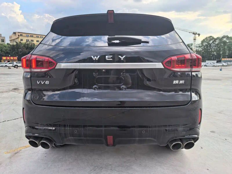 Wey vv6