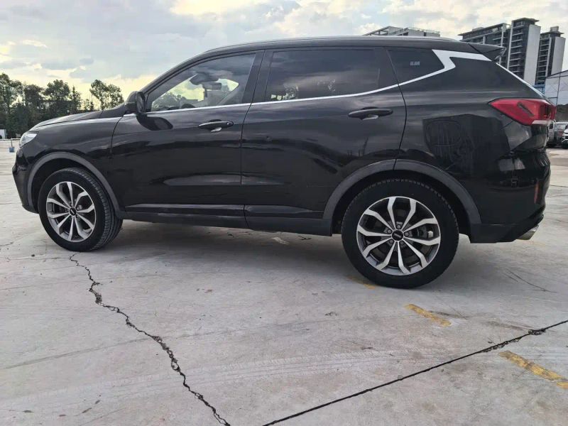 Wey vv6