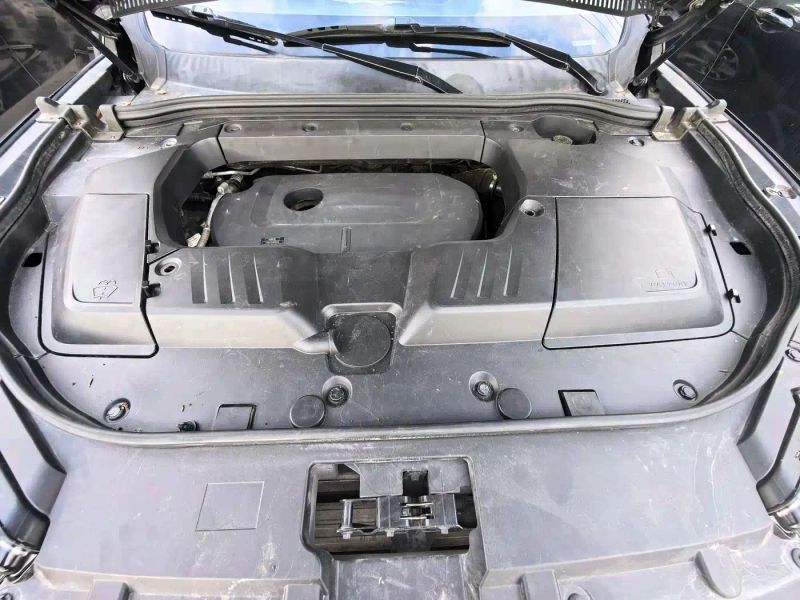 Wey vv6