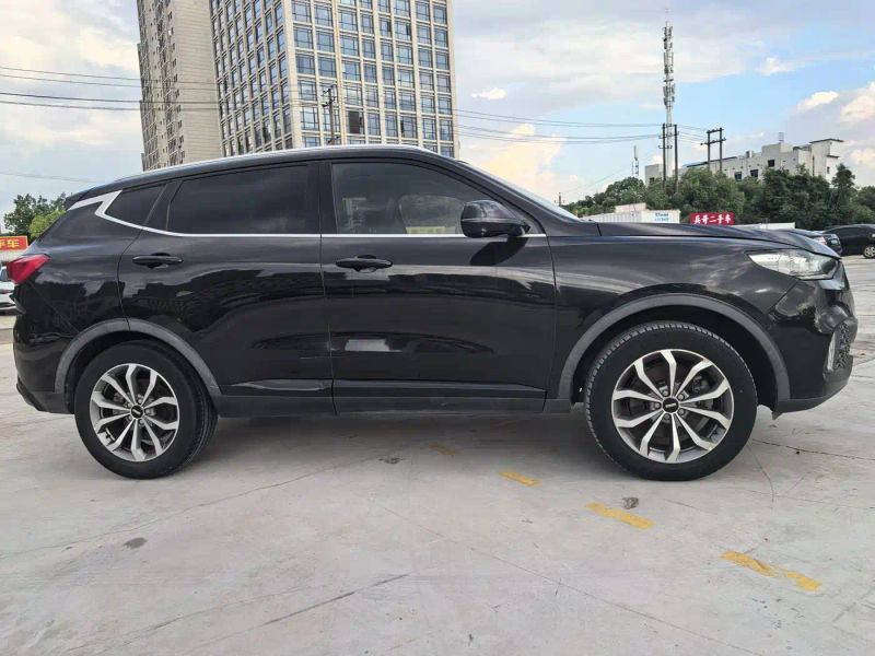 Wey vv6