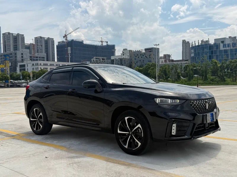 Wey vv7