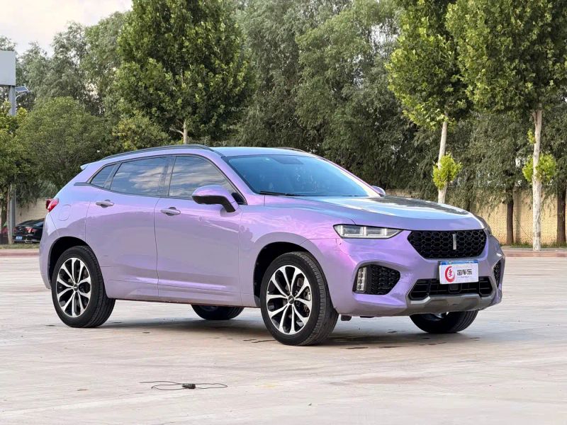 Wey vv7