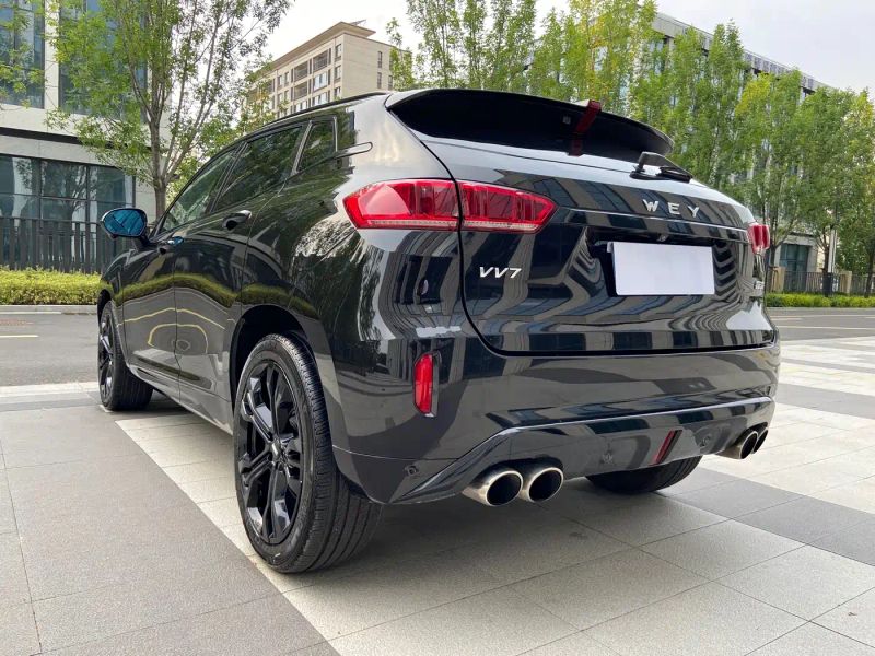 Wey vv7
