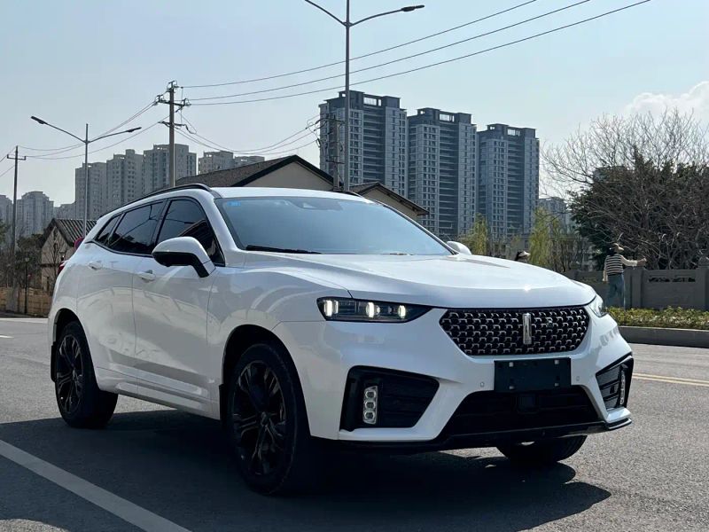 Wey vv7