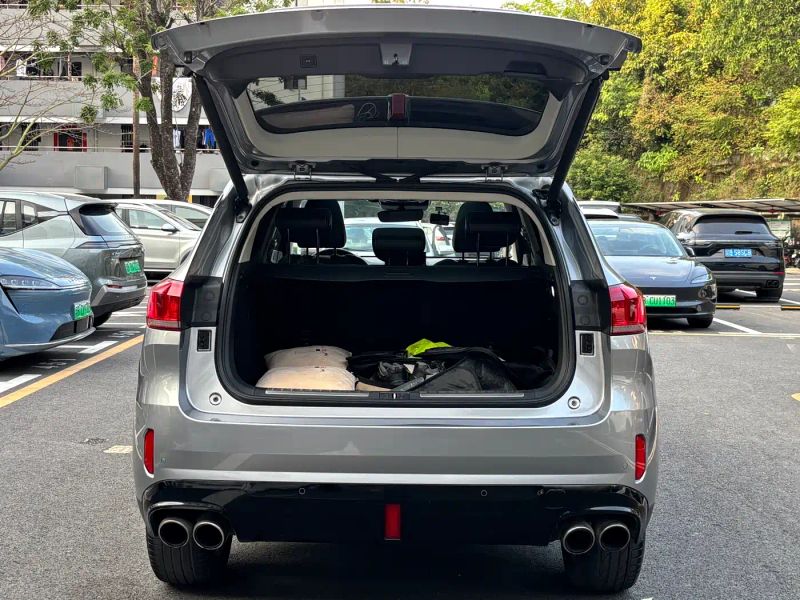 Wey vv6