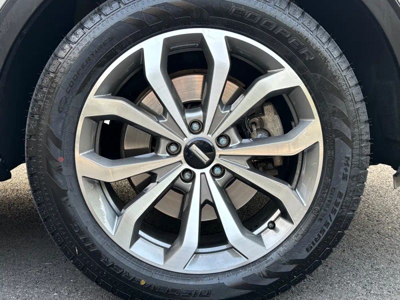 Wey vv6