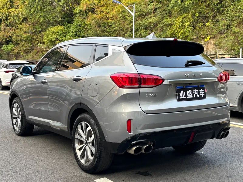 Wey vv6