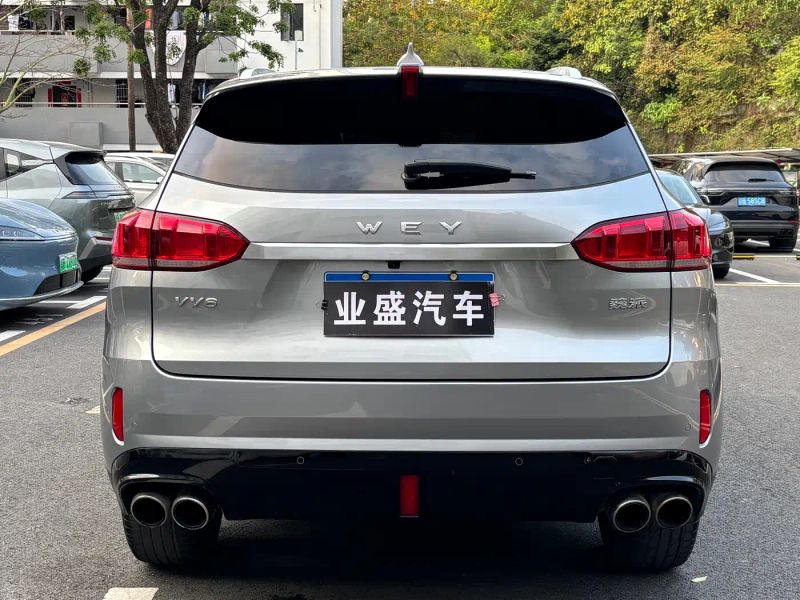 Wey vv6