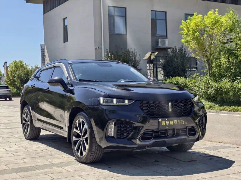 Wey vv7
