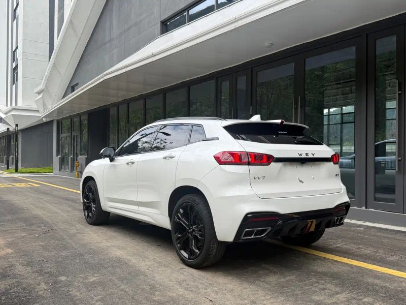 Wey vv7