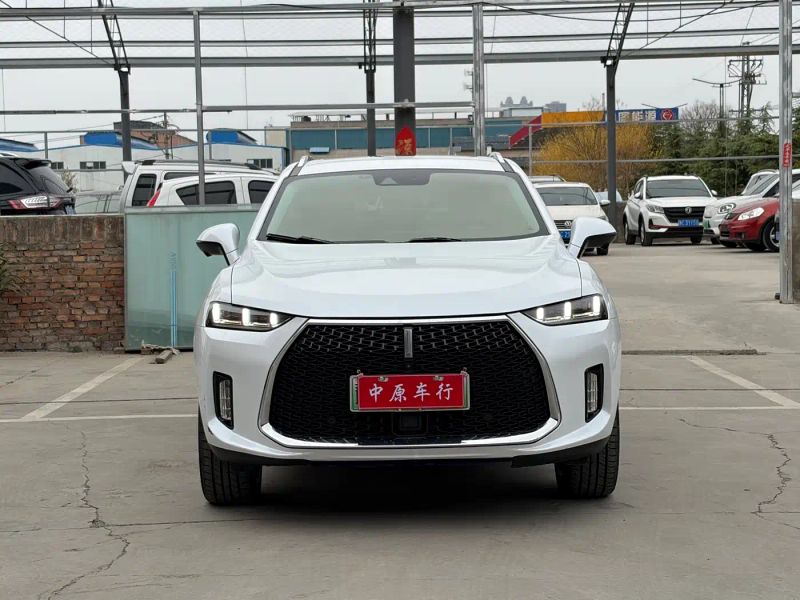Wey weyauto_p8
