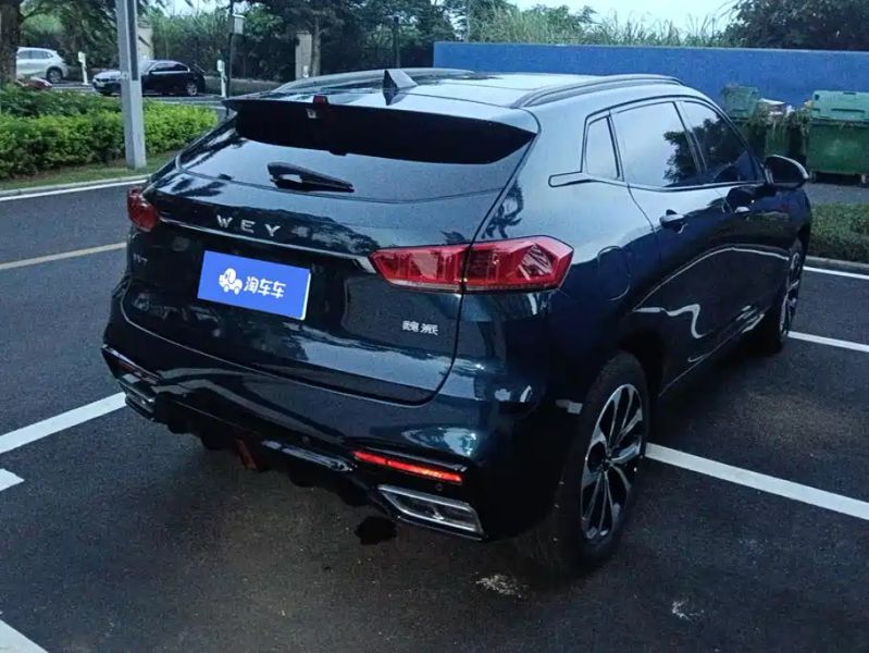 Wey vv7