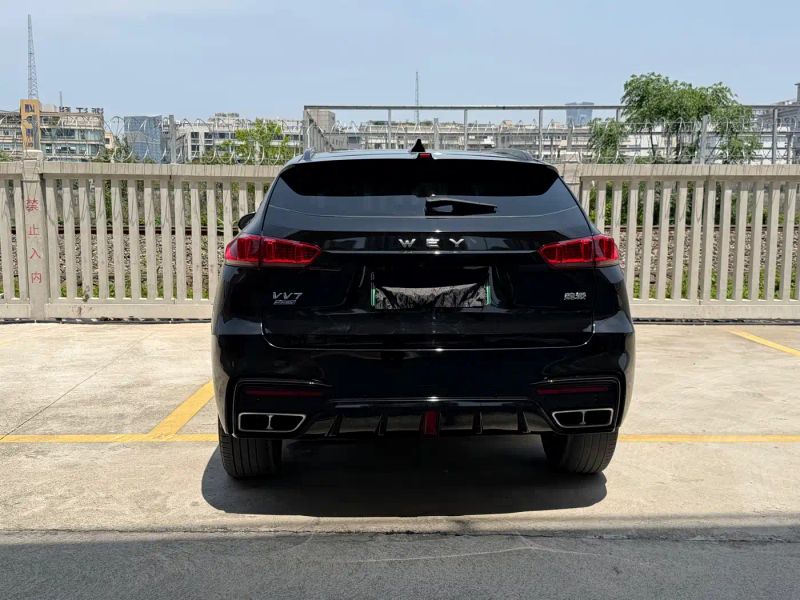 Wey vv7