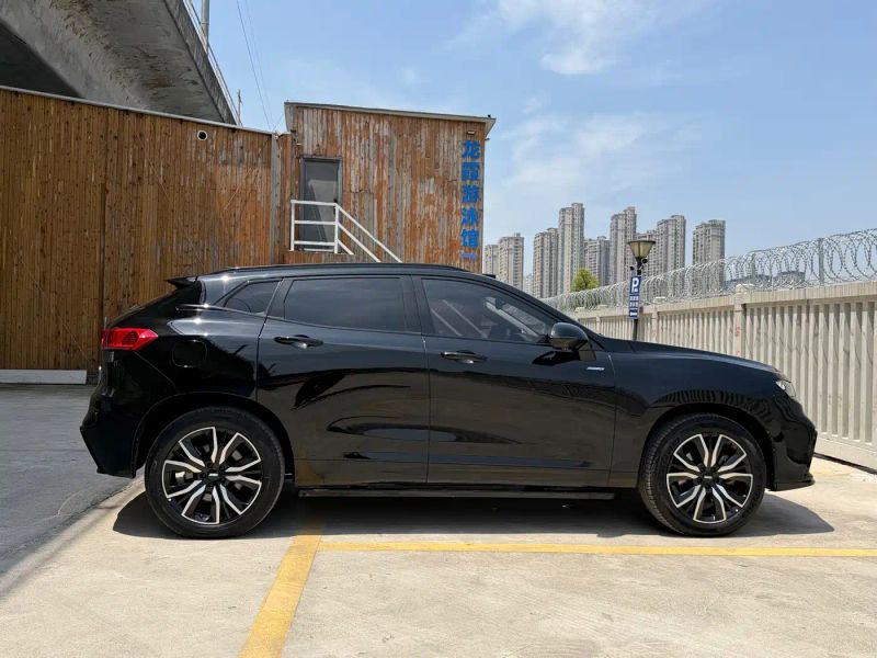 Wey vv7
