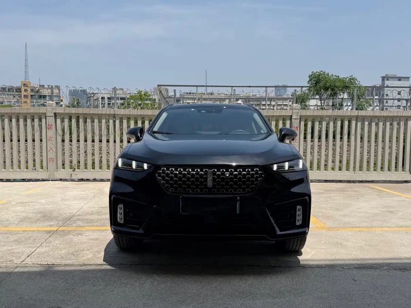 Wey vv7