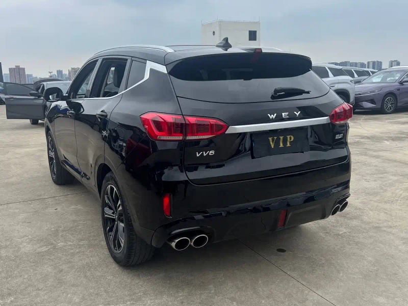 Wey vv6