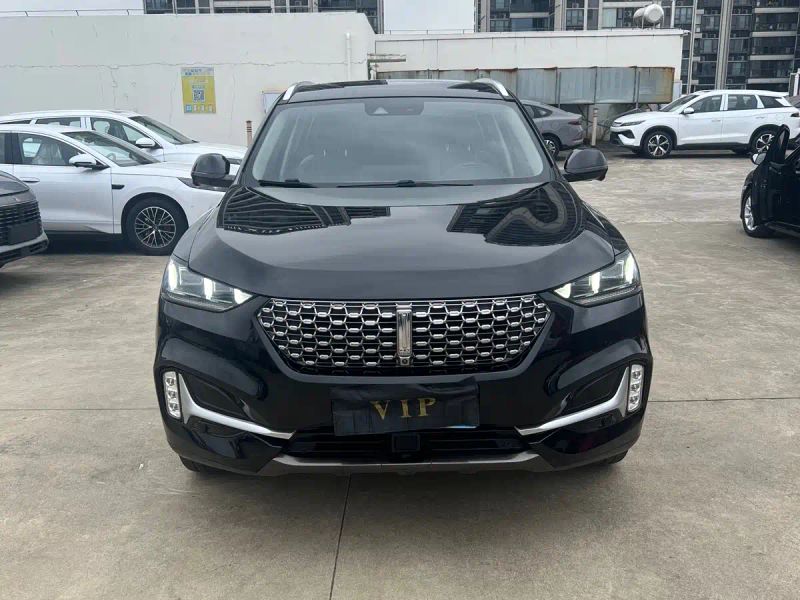 Wey vv6
