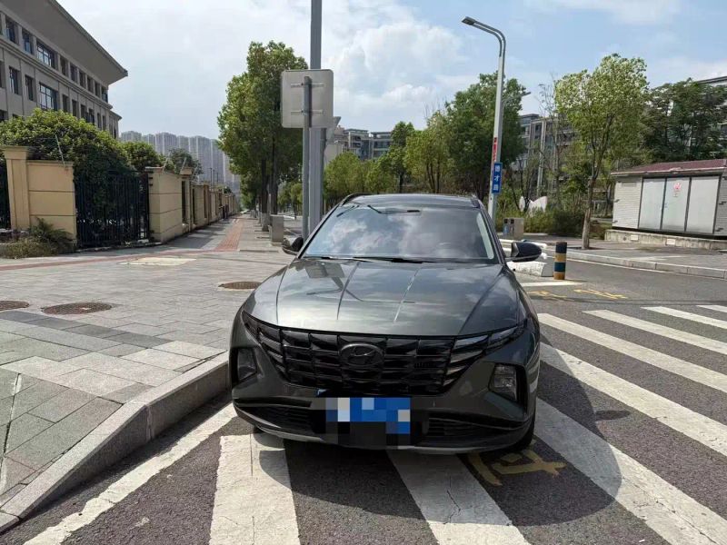beijing-hyundai tushengl