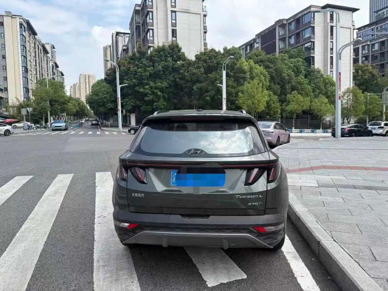 beijing-hyundai tushengl