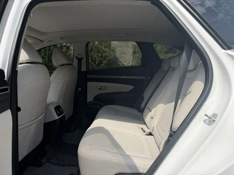 beijing-hyundai tushengl