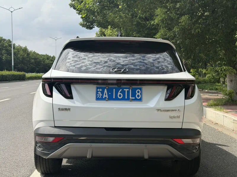 beijing-hyundai tushengl