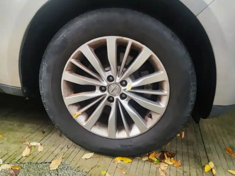 dama suv