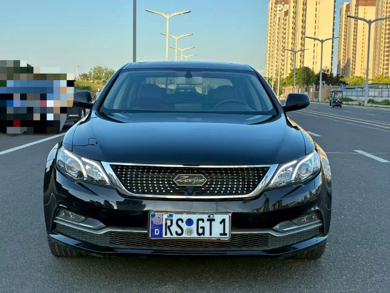 dama z700