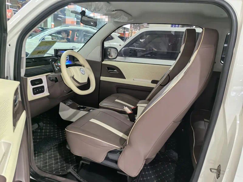 Zotye caihong