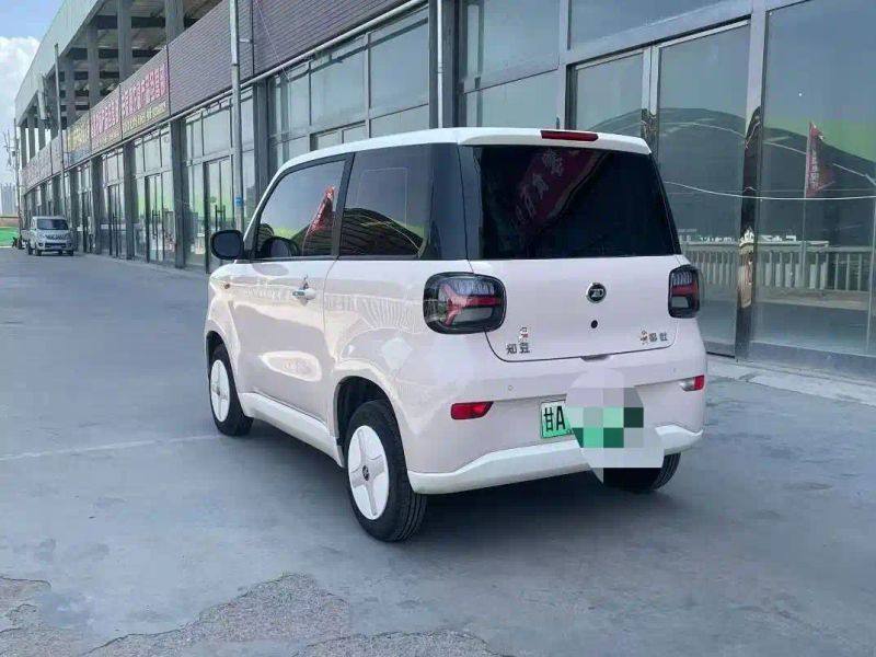 Zotye caihong