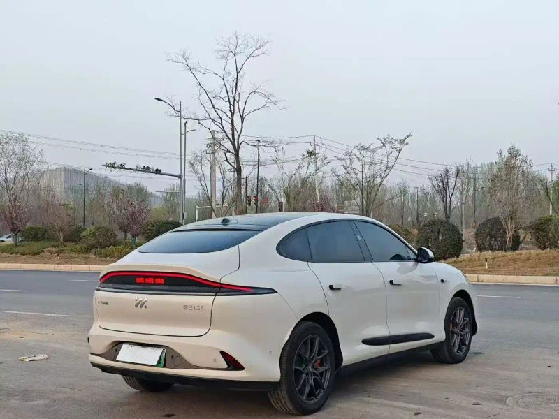 zhiji ls