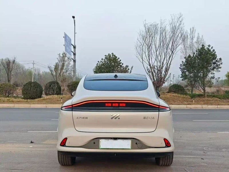zhiji ls