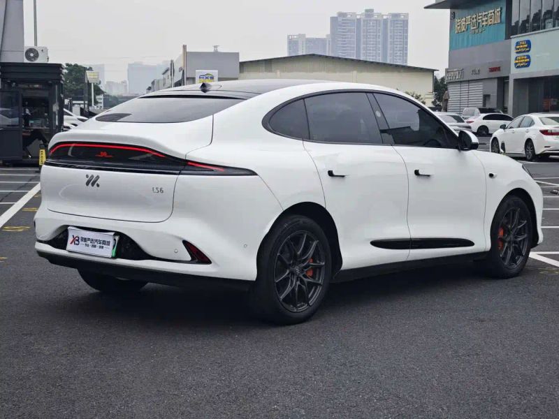 zhiji ls
