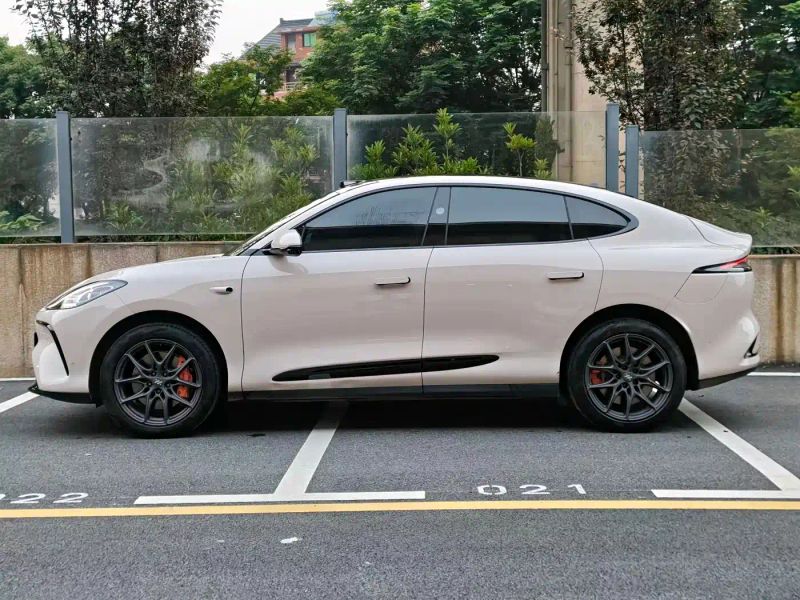zhiji ls