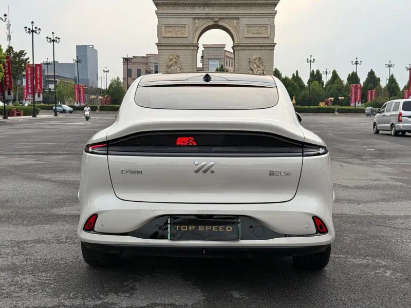 zhiji ls
